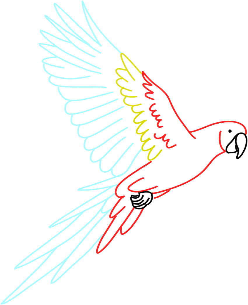 Paraba